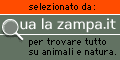 qua la zampa